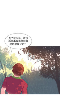 第303頁圖