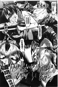 第215頁圖