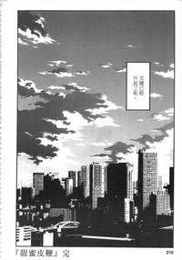 第211頁圖