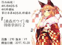 第251页图