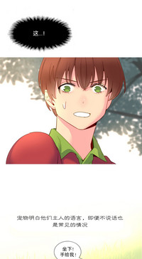 第279頁圖