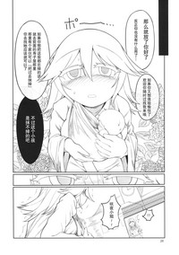 第27页图