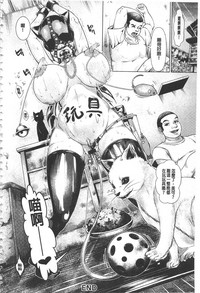 第27頁圖