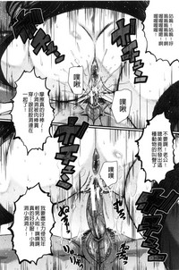 第179頁圖