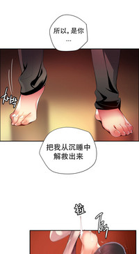 第455頁圖