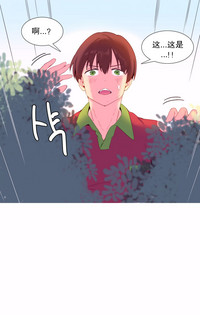 第211頁圖