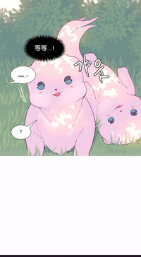 第255頁圖