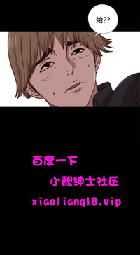 第215頁圖