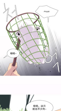 第571页图