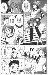 第11頁圖