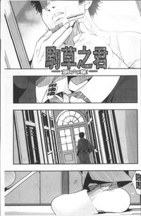 第187頁圖