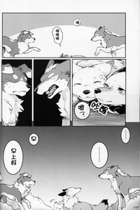 第11页图