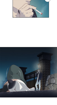第211頁圖