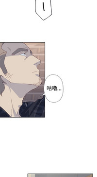 第219頁圖