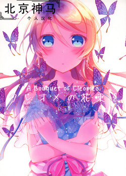 クレオメの花束を圖