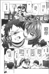 第95页图