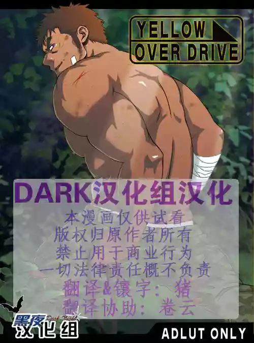 YELLOW OVER DRIVE圖