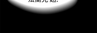 第295頁圖