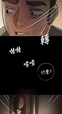 第335頁圖