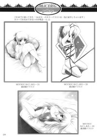 第231頁圖