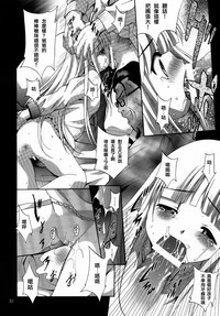 第31頁圖