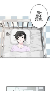 第531頁圖