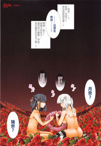 第203頁圖
