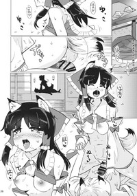 第27页图
