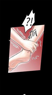 第311頁圖