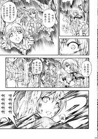 第219页图