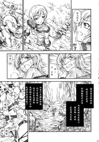 第227页图