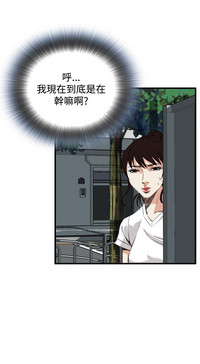 第223頁圖