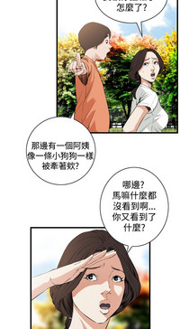 第247頁圖