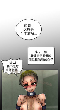 第163頁圖
