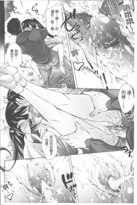 第31頁圖