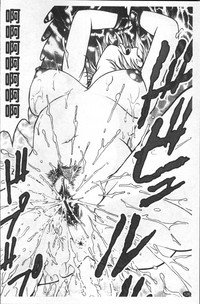 第135頁圖