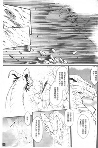 第207页图