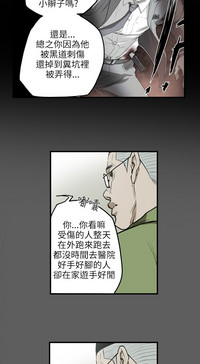 第195頁圖