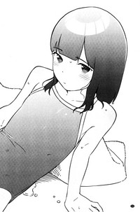 第239頁圖