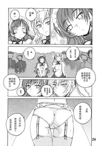 第23頁圖