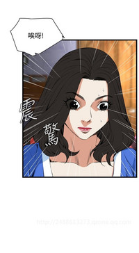 第511頁圖