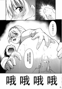 第23頁圖