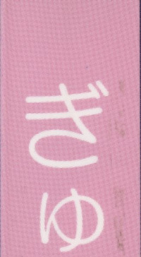 第203頁圖