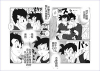 第211頁圖