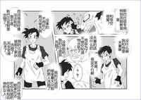 第215頁圖
