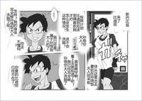 第219頁圖