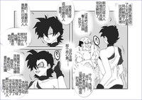 第247頁圖