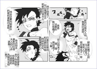第255頁圖