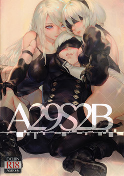 A29S2B圖