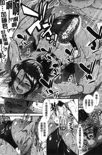 第151頁圖